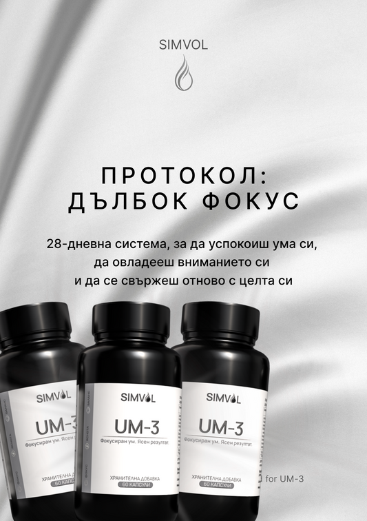 UM-3 (90 дни) – Пълният цикъл за трайна промяна